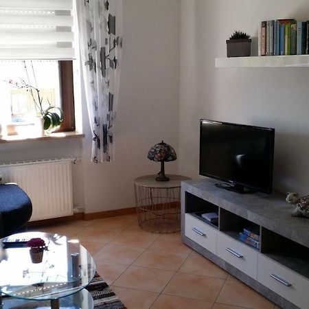 Ferienwohnung Saarblick Ockfen 外观 照片