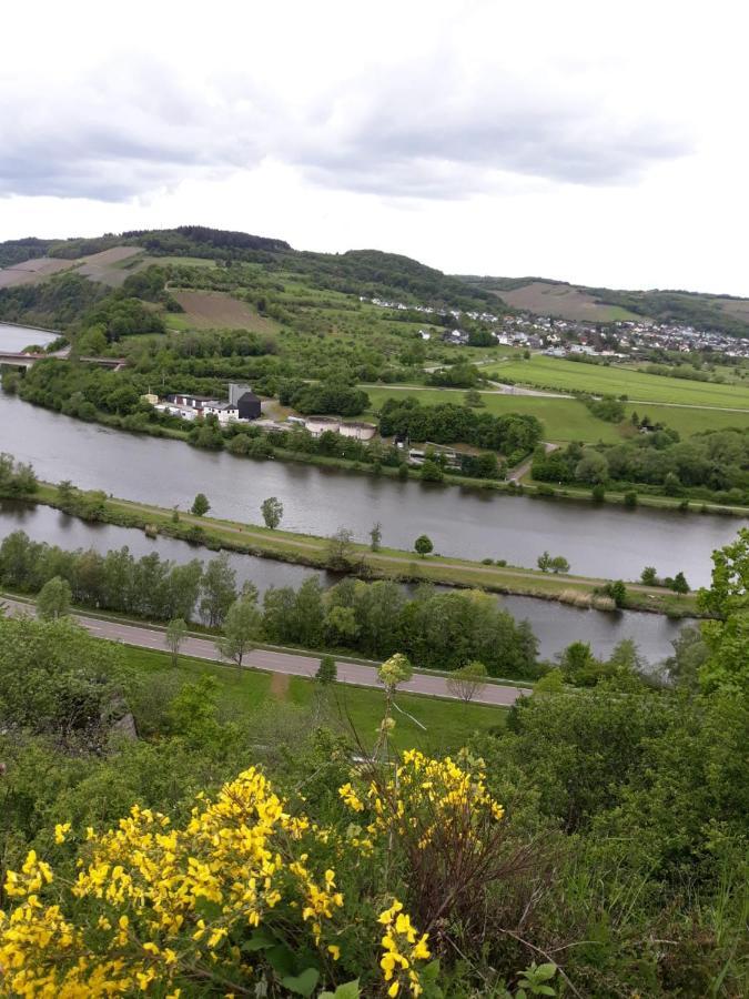 Ferienwohnung Saarblick Ockfen 外观 照片