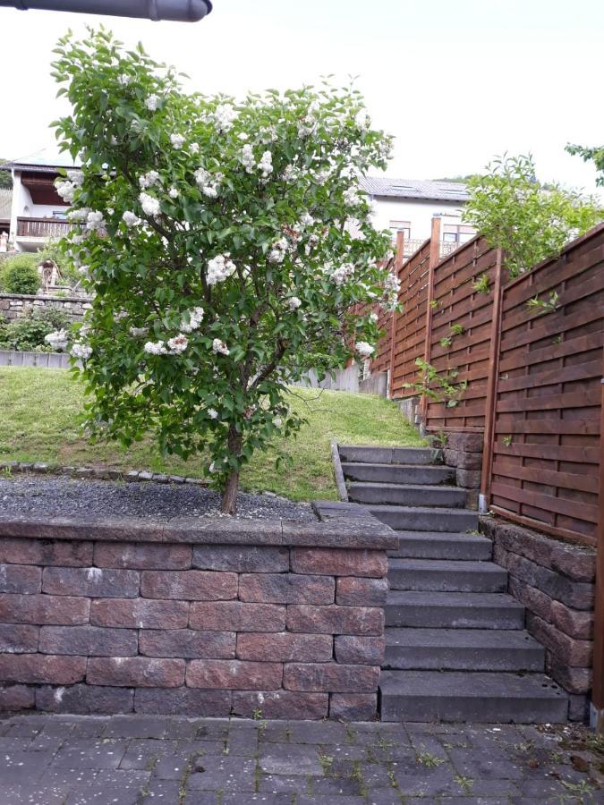 Ferienwohnung Saarblick Ockfen 外观 照片