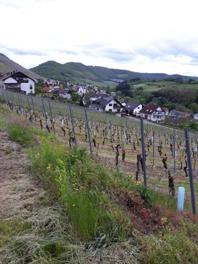 Ferienwohnung Saarblick Ockfen 外观 照片